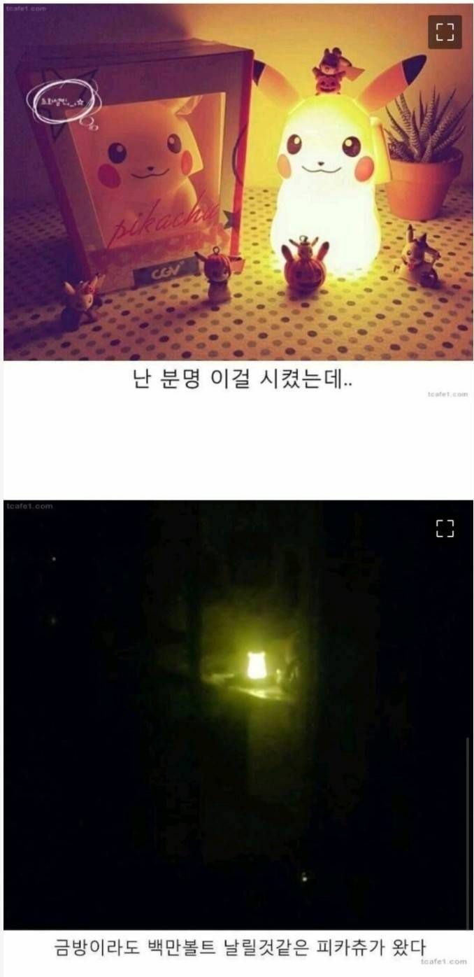 피카츄 조명 저세상 후기 | 인스티즈