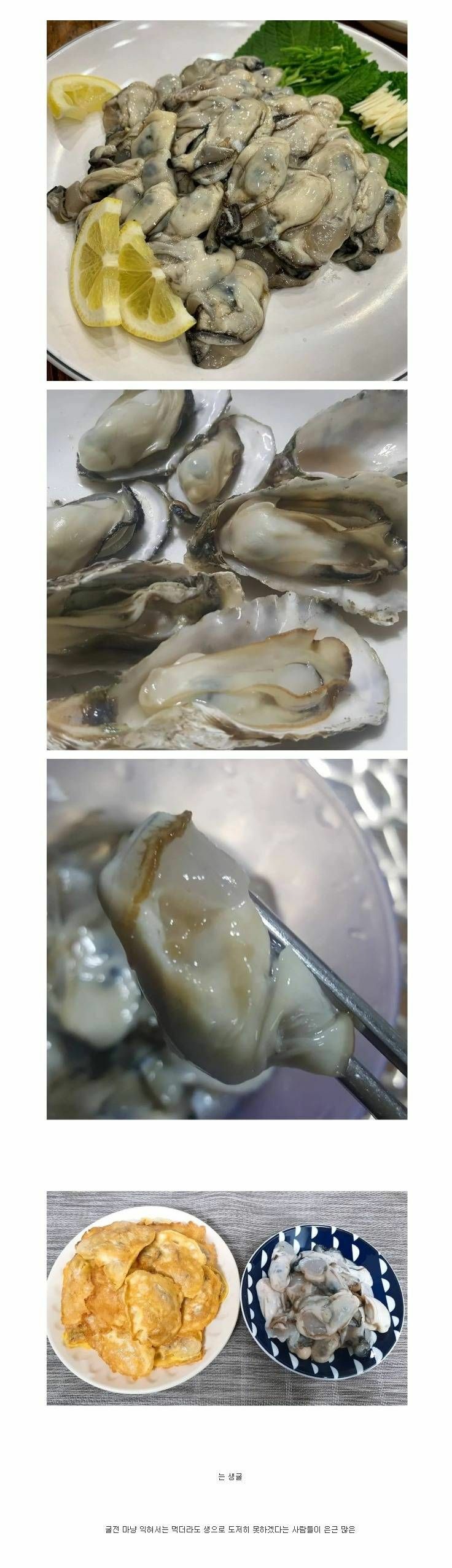 생으로 도저히 못먹겠다는 사람이 많은 음식 | 인스티즈