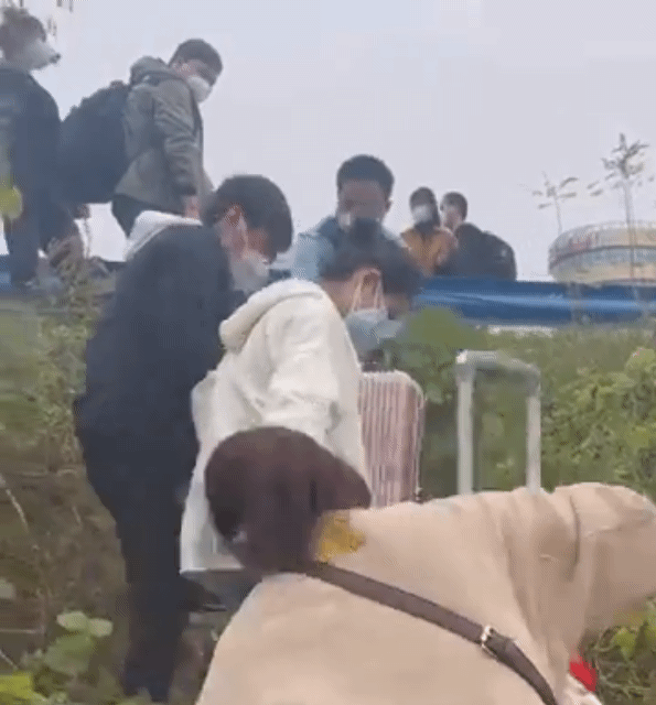 스티븐 맥도넬 BBC 중국 특파원이 중국 정저우 폭스콘 공장 근로자들이 탈출 중인 모습으로 보이는 영상을 공유했다. 코로나19 폐쇄 조치에 반발한 것으로 추정된다. [트위터 캡처]