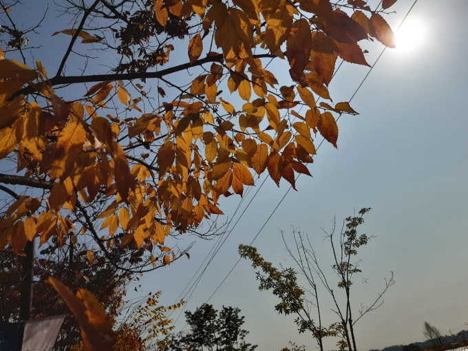 (주)세찬 이미지