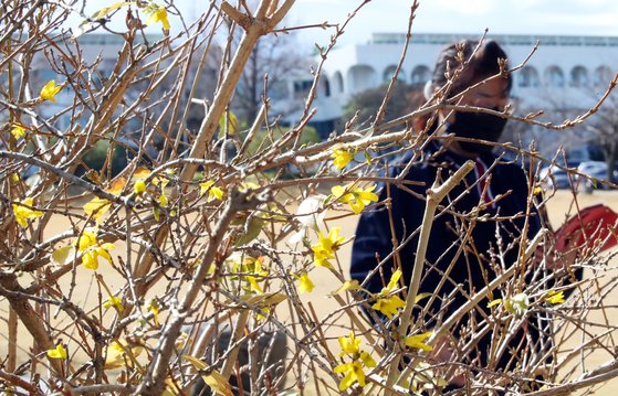 섭씨제주 이미지