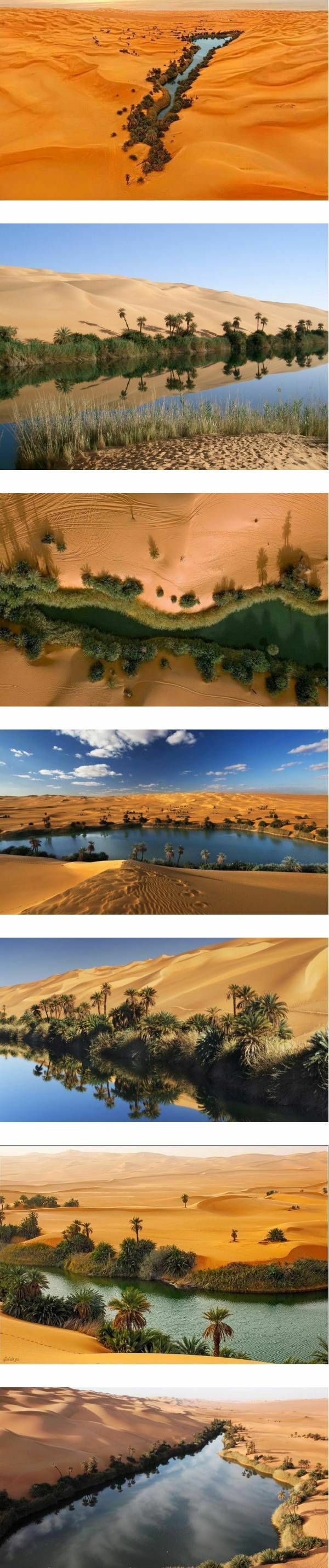 사하라 사막의 실제 오아시스 | 인스티즈