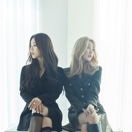 듀오컴퍼니 이미지