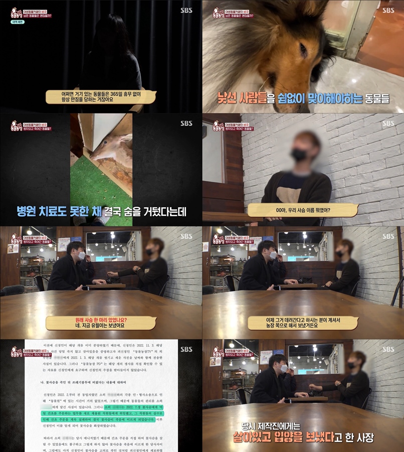 카페더유월 이미지