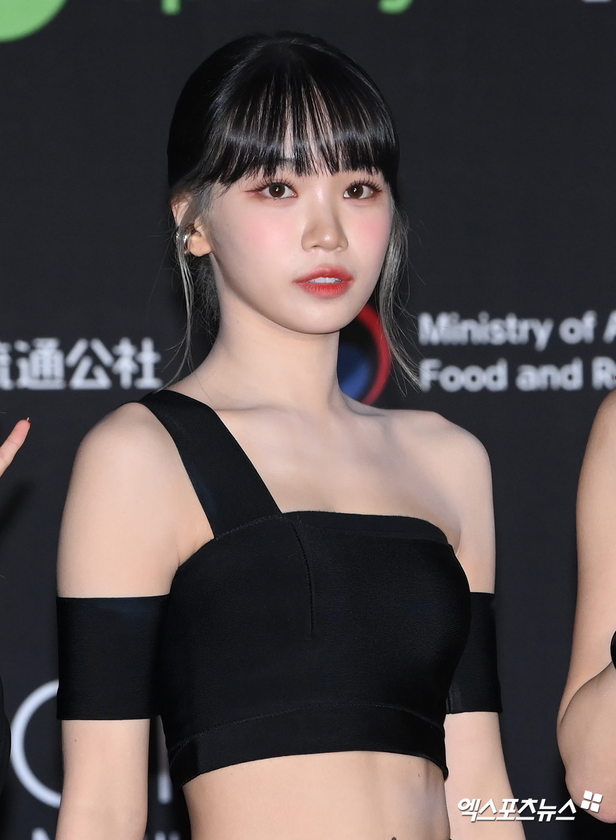 채원 이미지