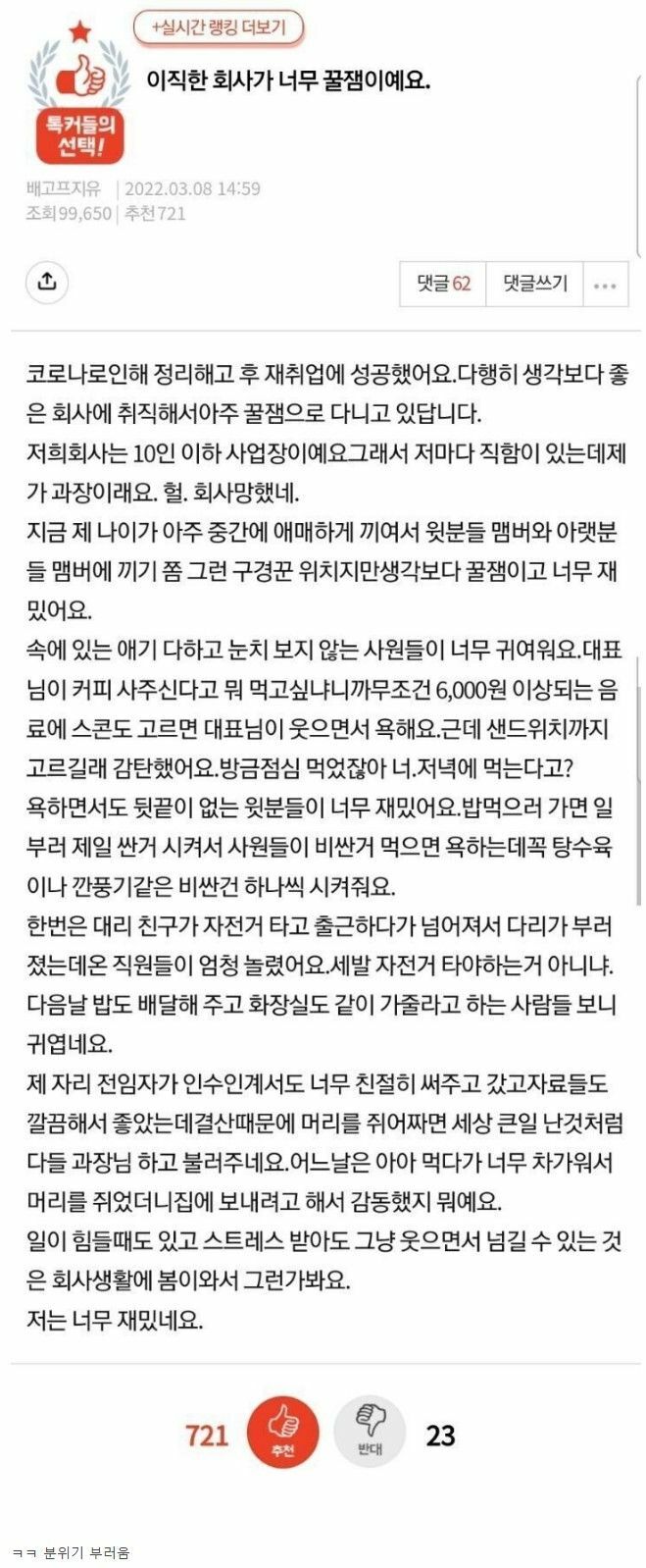 이직한 회사가 너무 꿀잼이에요 | 인스티즈