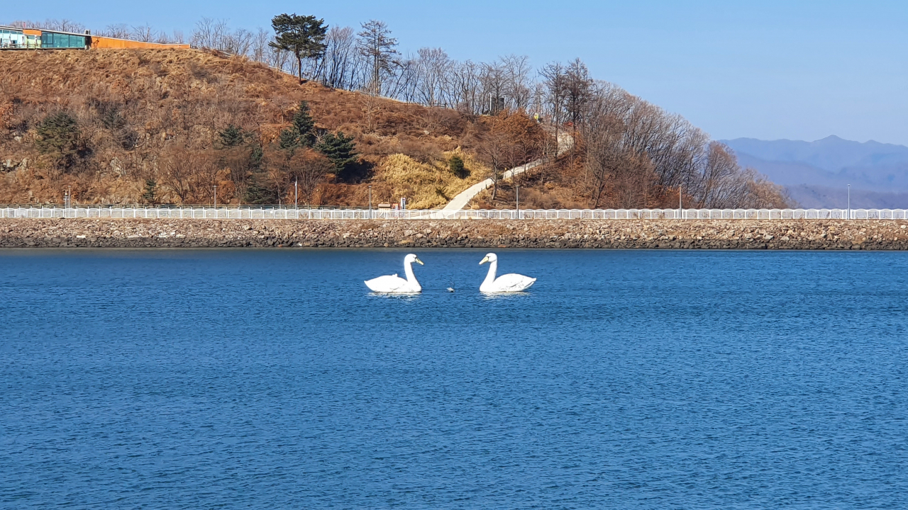 호명 이미지