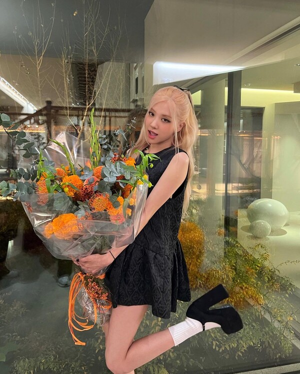 로제 이미지