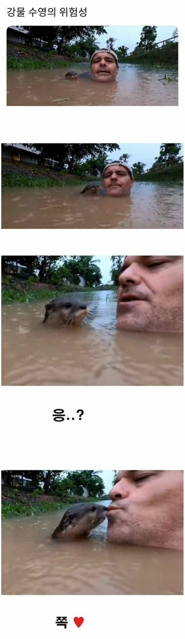 치명적인 강물 수영의 위험성 | 인스티즈