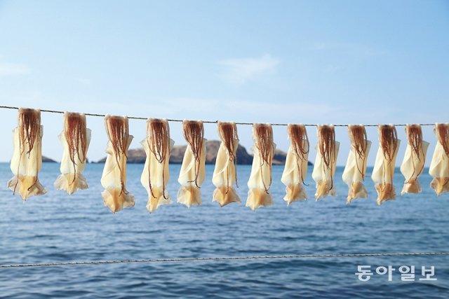 바당길 이미지