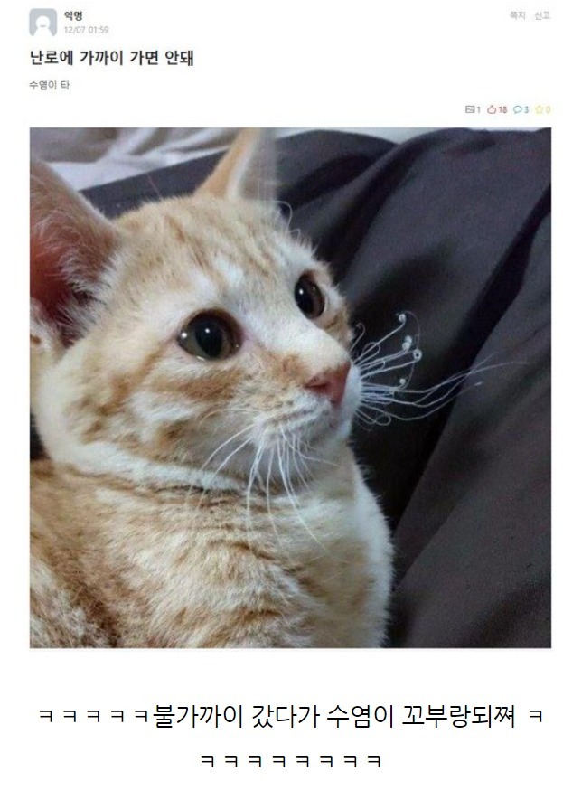 난로에 가까이 가면 안되는 이유 | 인스티즈