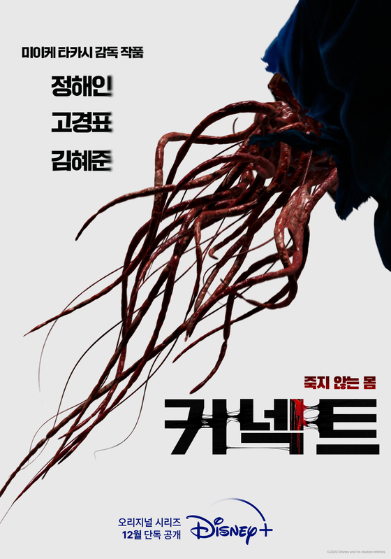 더캠  컴퍼니 이미지