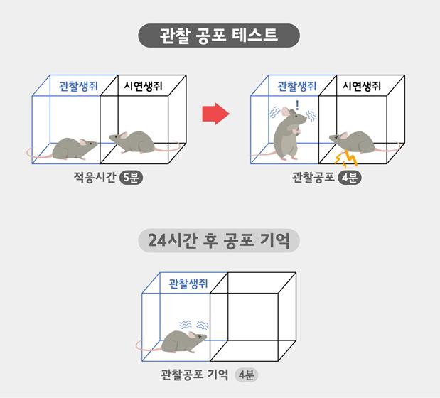 공감 이미지
