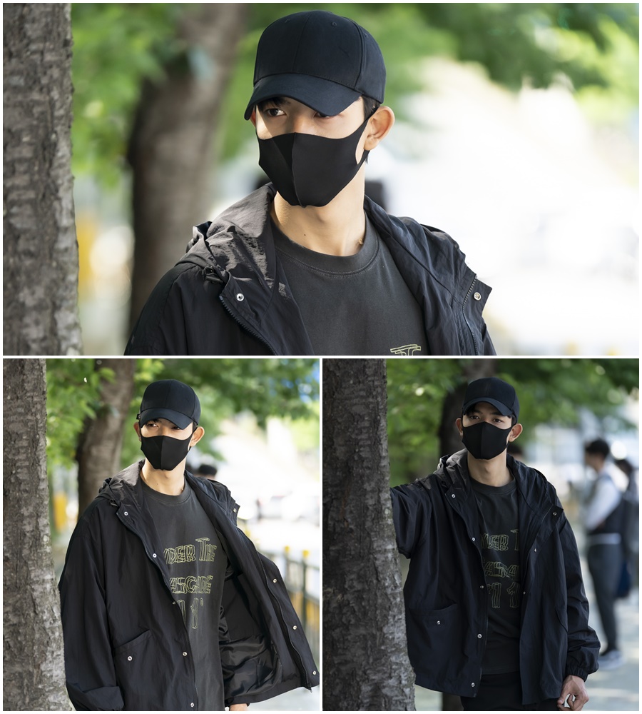 로몬 이미지