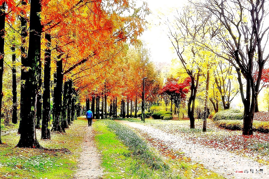 아름다운 산책 이미지