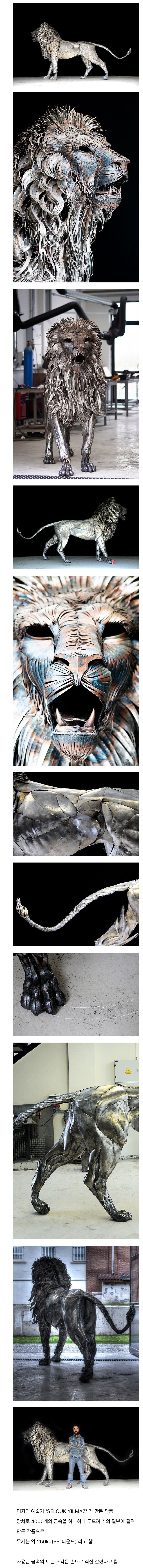 터키 예술가가 만든 사자 | 인스티즈