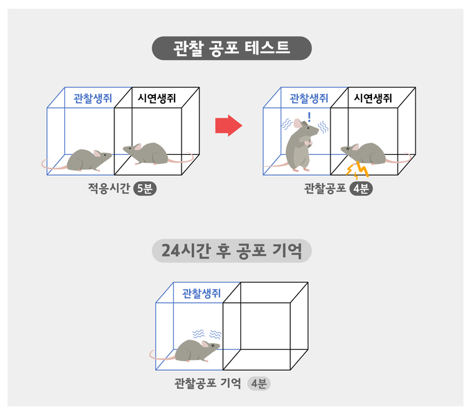 공감 이미지