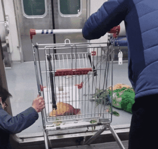 지난달 30일 오후 서울 지하철 7호선 노원역 하행선에서 한 노인이 쇼핑카트를 끌고 열차를 타려다 출입문 사이 공간에 카트 앞바퀴가 끼이는 사고가 발생했다. 카트를 빼내는 과정에서 불꽃이 튀는 아찔한 상황이 벌어지기도 했다. 인스타그램 영상 캡처
