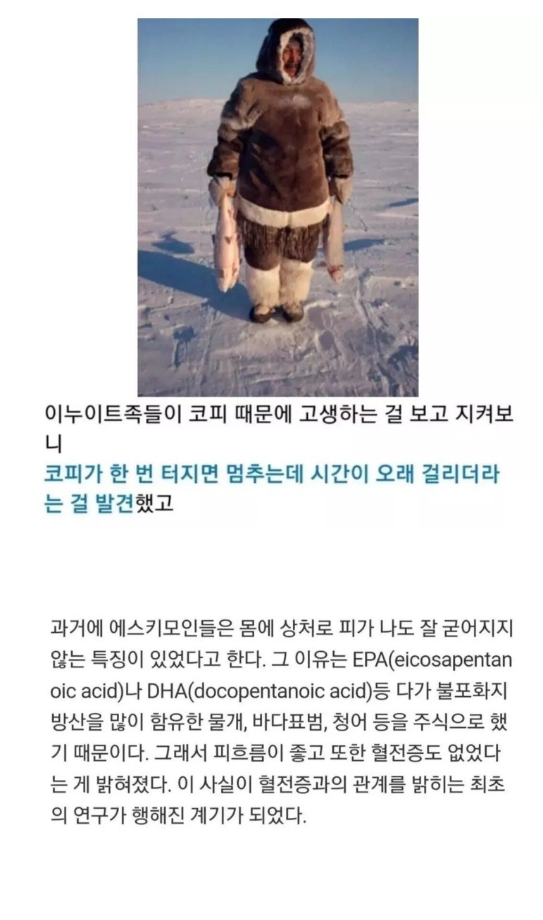 에스키모인들을 통해서 밝혀진 콜레스테롤의 비밀 | 인스티즈