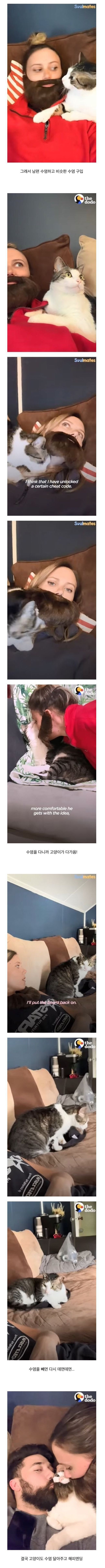 고양이가 남편만 좋아하는 이유 | 인스티즈