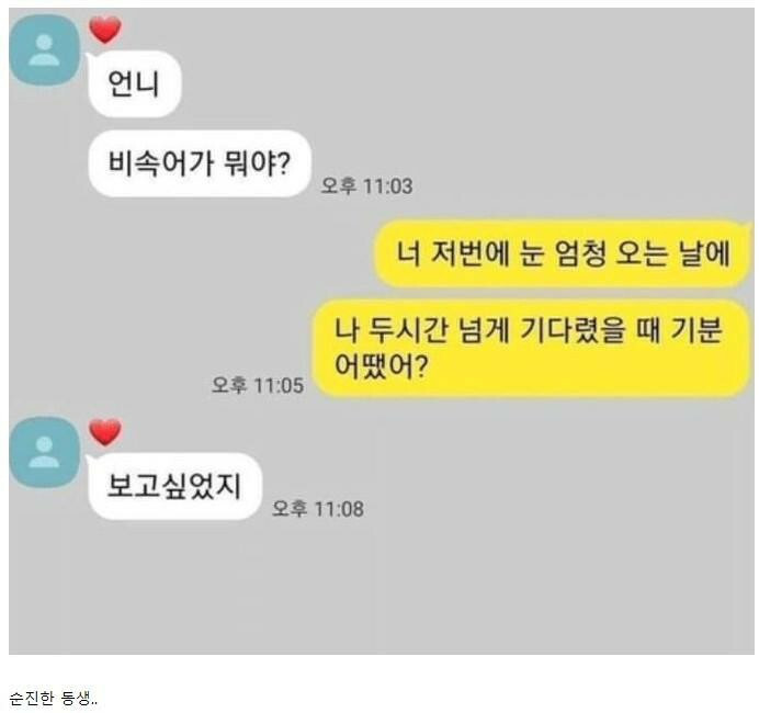 비속어가 궁금했던 동생 | 인스티즈