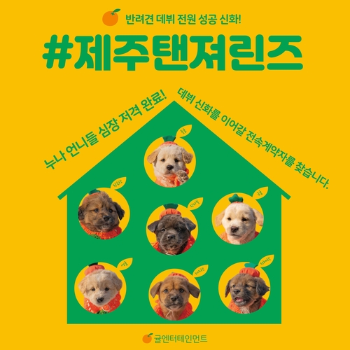 프로젝트엔터테인먼트 이미지