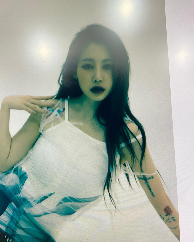 제이미 이미지