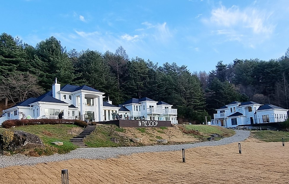 더숲 이미지