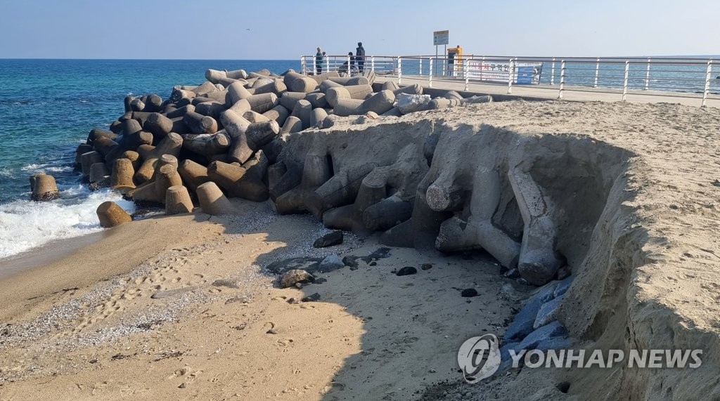 강원대학교 삼척산학협력단 이미지