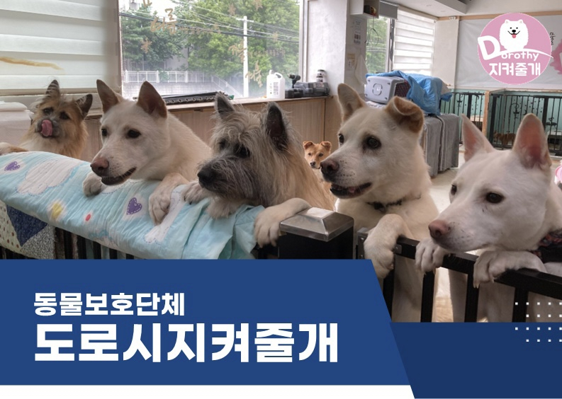 대우산업 이미지