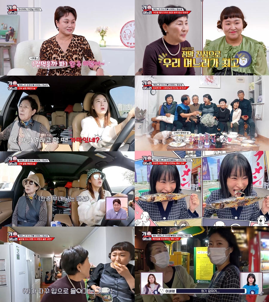 며느리 이미지