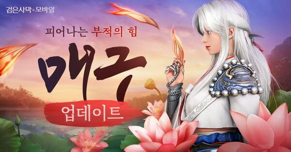 엔토리 이미지