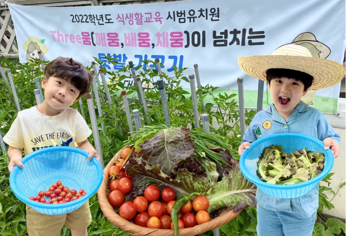 세움아이유치원 이미지