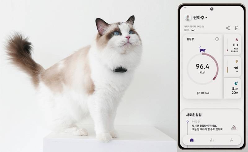 심컴퍼니 이미지