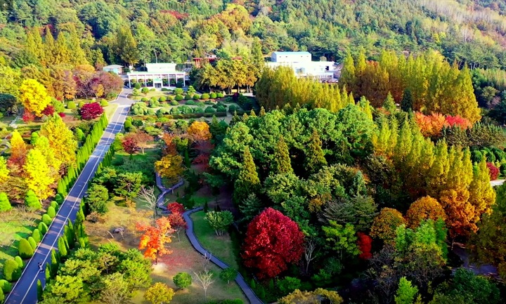 중앙산림기술 이미지