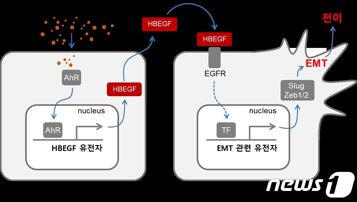 인체공학연구원 이미지