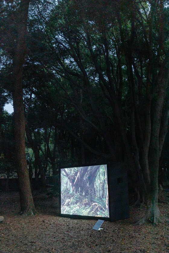 제주가좋다 이미지