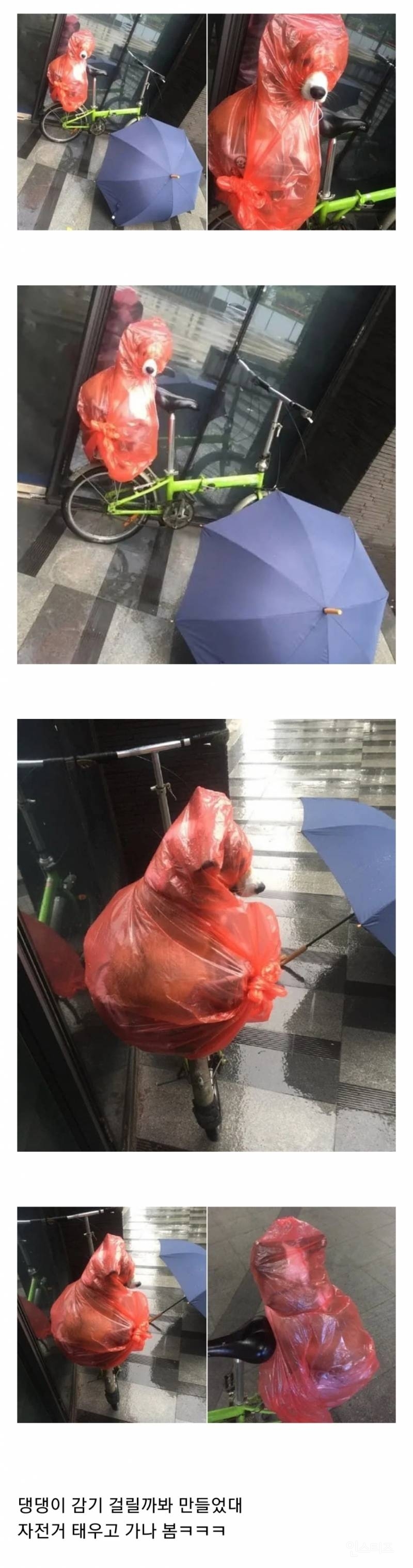 할아버지가 만들어주신 우비 | 인스티즈