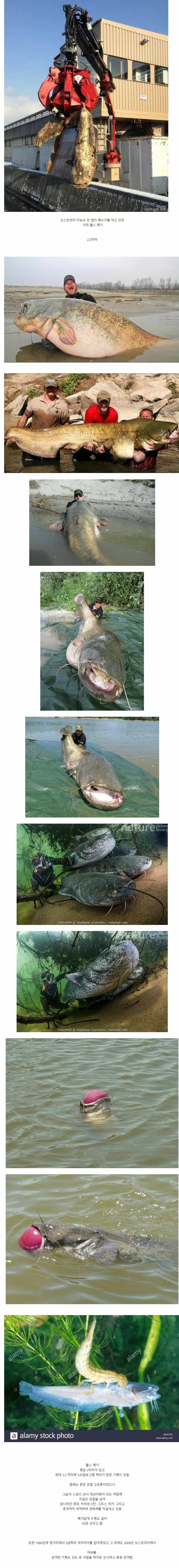 댐을 막고 있던 거대한 괴물의 정체 | 인스티즈