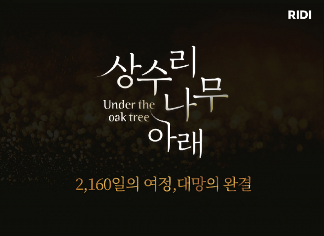 나무아래 이미지