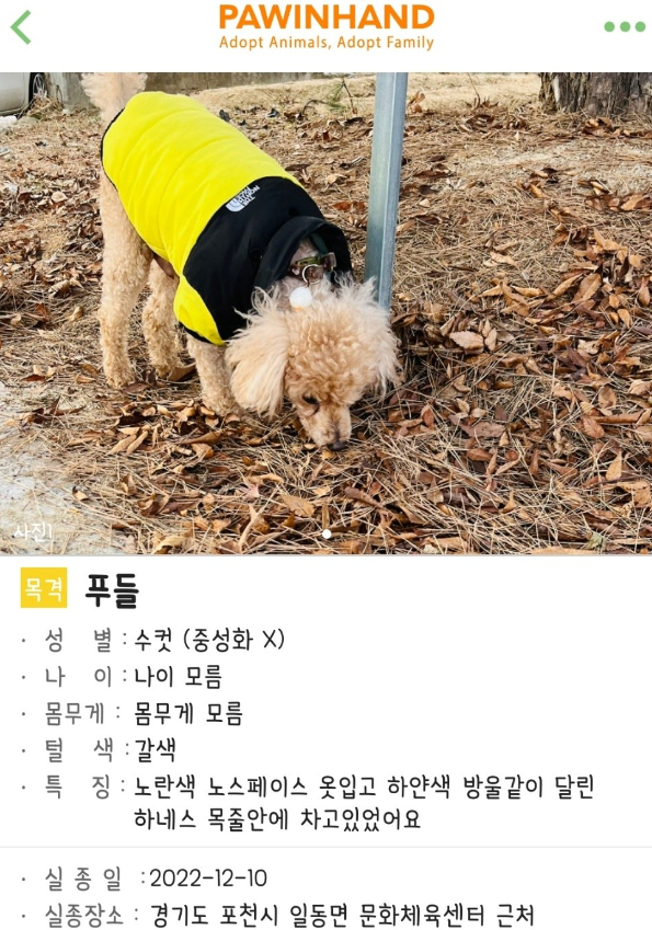 포인사이트 이미지