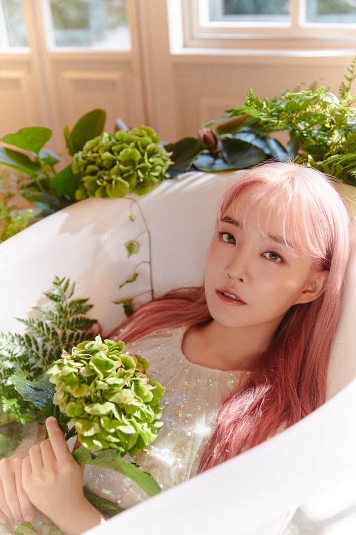 티엘시 이미지
