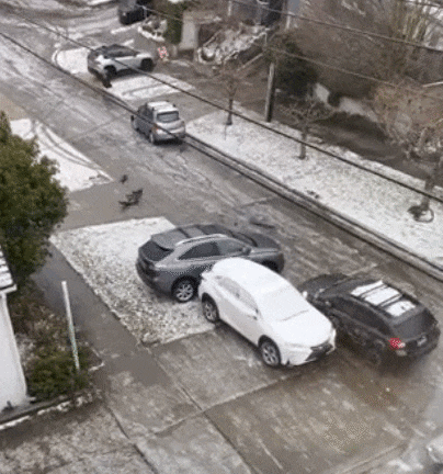 23일(현지시각) 미국 시애틀의 한 도로가 얼어붙으면서 차량 한 대가 미끄러지고 있다.  /트위터 @kay0kayla