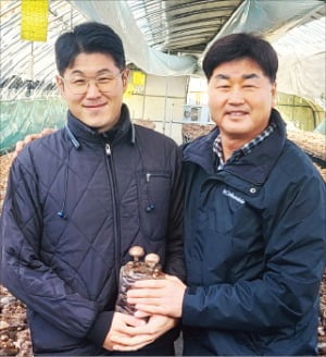 보령친환경버섯영농조합법인 이미지