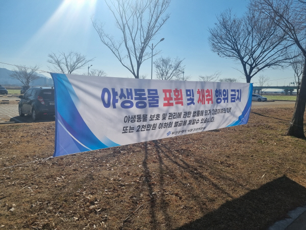 유채인력 이미지