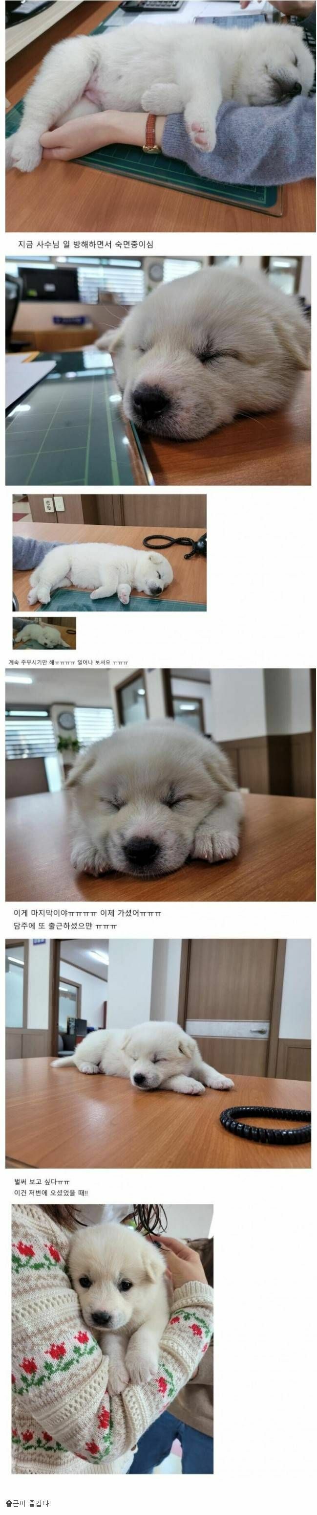 과장님이 데려온 신입사원 | 인스티즈