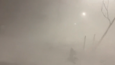 트위터 이용자 ReedTimmerAccu *재판매 및 DB 금지