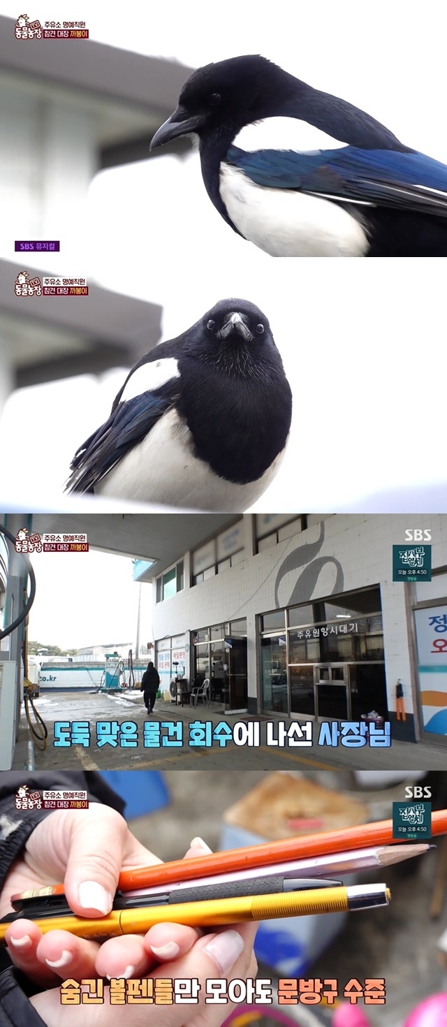 농장주유소 이미지