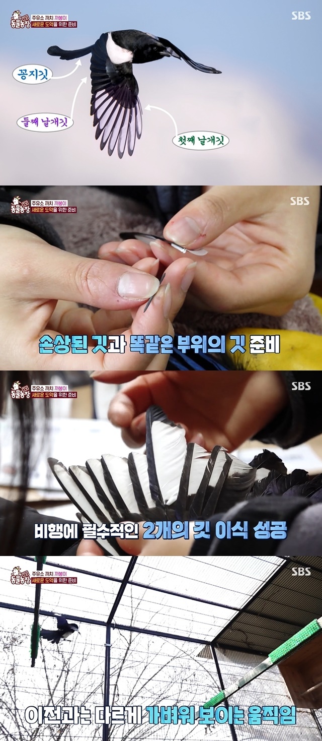 농장주유소 이미지