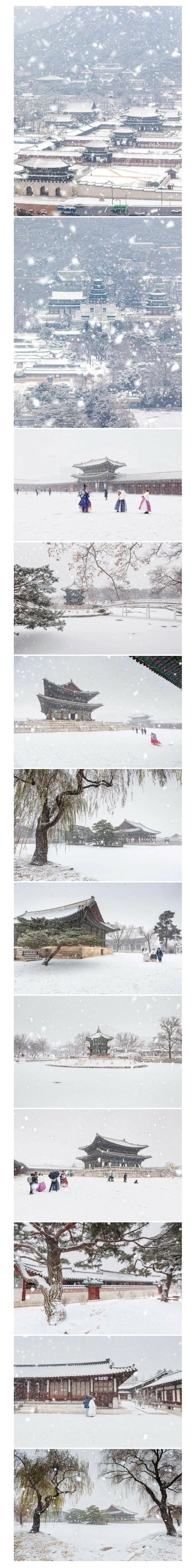 눈 내린 경복궁 | 인스티즈
